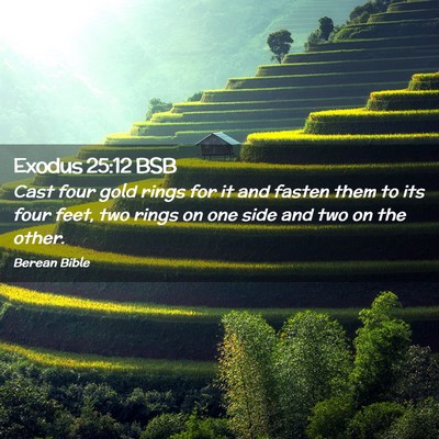 Picture 02 - Exodus 25:12 BSB - Cast four gold rings for it and fasten them to - Bible Verse Picture