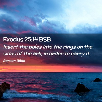 Picture 02 - Exodus 25:14 BSB - Insert the poles into the rings on the sides of - Bible Verse Picture