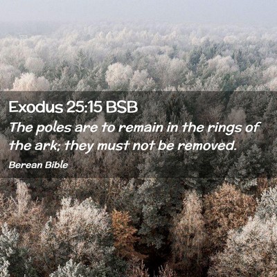 Picture 02 - Exodus 25:15 BSB - The poles are to remain in the rings of the ark; - Bible Verse Picture