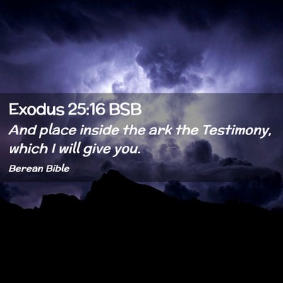 Picture 02 - Exodus 25:16 BSB - And place inside the ark the Testimony, which I - Bible Verse Picture