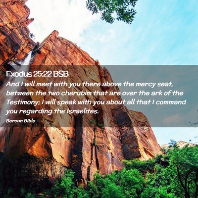 Picture 02 - Exodus 25:22 BSB - And I will meet with you there above the mercy - Bible Verse Picture