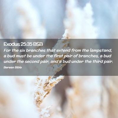 Picture 02 - Exodus 25:35 BSB - For the six branches that extend from the - Bible Verse Picture