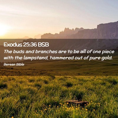 Picture 02 - Exodus 25:36 BSB - The buds and branches are to be all of one piece - Bible Verse Picture