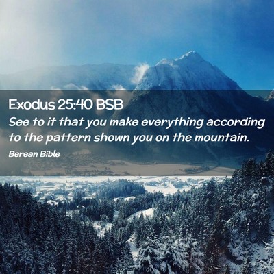 Picture 02 - Exodus 25:40 BSB - See to it that you make everything according to - Bible Verse Picture