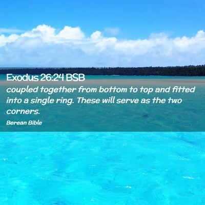 Picture 02 - Exodus 26:24 BSB - coupled together from bottom to top and fitted - Bible Verse Picture