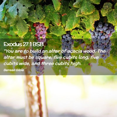 Picture 02 - Exodus 27:1 BSB - “You are to build an altar of acacia wood. The - Bible Verse Picture