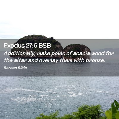 Picture 02 - Exodus 27:6 BSB - Additionally, make poles of acacia wood for the - Bible Verse Picture