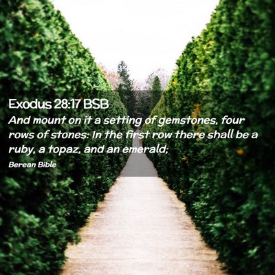 Picture 02 - Exodus 28:17 BSB - And mount on it a setting of gemstones, four rows - Bible Verse Picture