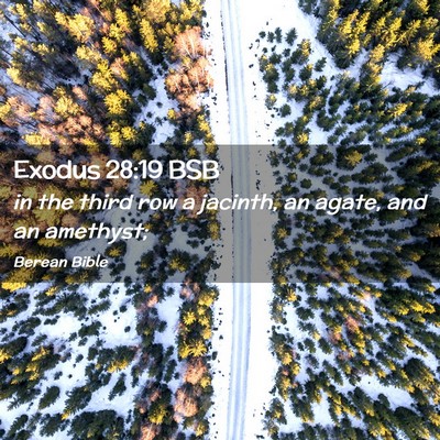 Picture 02 - Exodus 28:19 BSB - in the third row a jacinth, an agate, and an - Bible Verse Picture
