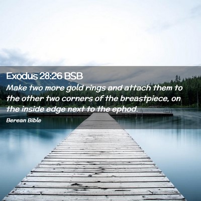 Picture 02 - Exodus 28:26 BSB - Make two more gold rings and attach them to the - Bible Verse Picture