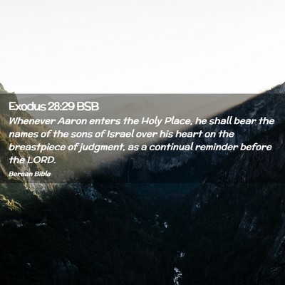 Picture 02 - Exodus 28:29 BSB - Whenever Aaron enters the Holy Place, he shall - Bible Verse Picture