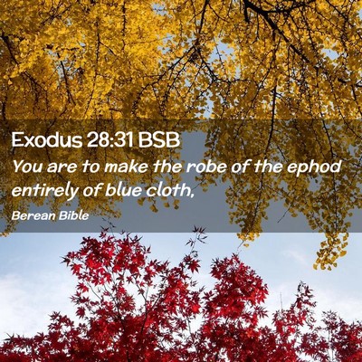 Picture 02 - Exodus 28:31 BSB - You are to make the robe of the ephod entirely of - Bible Verse Picture