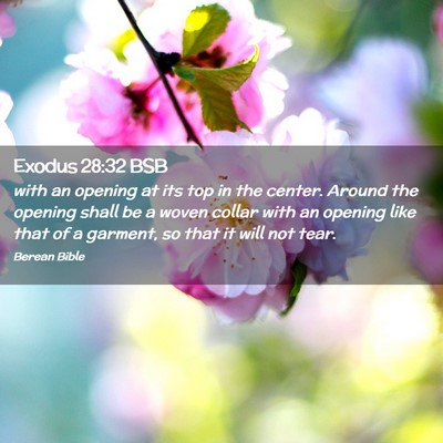 Picture 02 - Exodus 28:32 BSB - with an opening at its top in the center. Around - Bible Verse Picture