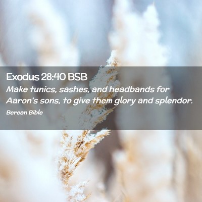 Picture 02 - Exodus 28:40 BSB - Make tunics, sashes, and headbands for Aaron’s - Bible Verse Picture