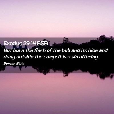 Picture 02 - Exodus 29:14 BSB - But burn the flesh of the bull and its hide and - Bible Verse Picture