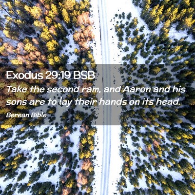 Picture 02 - Exodus 29:19 BSB - Take the second ram, and Aaron and his sons are - Bible Verse Picture
