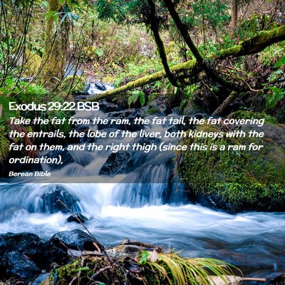 Picture 02 - Exodus 29:22 BSB - Take the fat from the ram, the fat tail, the fat - Bible Verse Picture