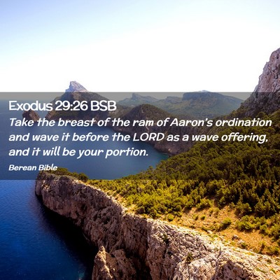 Picture 02 - Exodus 29:26 BSB - Take the breast of the ram of Aaron’s - Bible Verse Picture