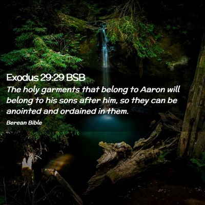 Picture 02 - Exodus 29:29 BSB - The holy garments that belong to Aaron will - Bible Verse Picture