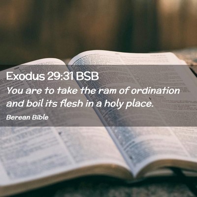 Picture 02 - Exodus 29:31 BSB - You are to take the ram of ordination and boil - Bible Verse Picture