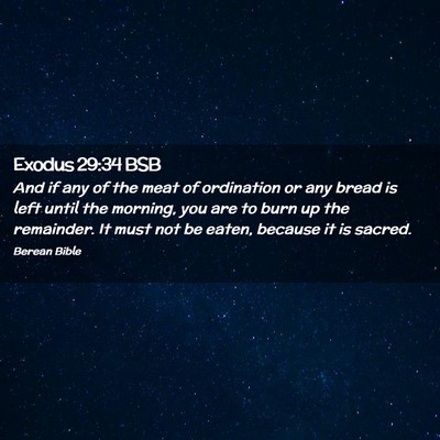 Picture 02 - Exodus 29:34 BSB - And if any of the meat of ordination or any bread - Bible Verse Picture