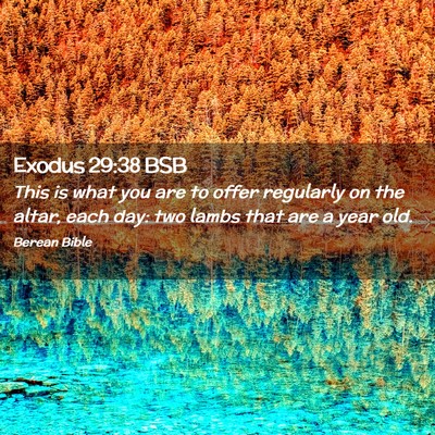 Picture 02 - Exodus 29:38 BSB - This is what you are to offer regularly on the - Bible Verse Picture