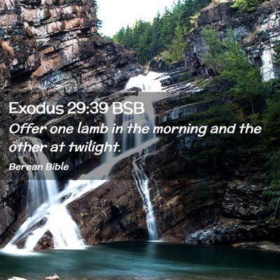 Picture 02 - Exodus 29:39 BSB - Offer one lamb in the morning and the other at - Bible Verse Picture