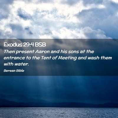 Picture 02 - Exodus 29:4 BSB - Then present Aaron and his sons at the entrance - Bible Verse Picture
