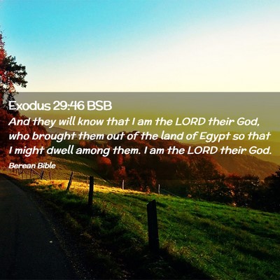 Picture 02 - Exodus 29:46 BSB - And they will know that I am the LORD their God, - Bible Verse Picture