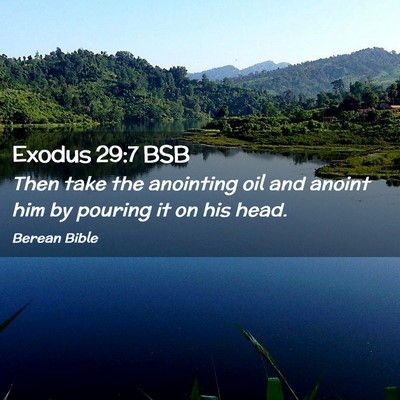 Picture 02 - Exodus 29:7 BSB - Then take the anointing oil and anoint him by - Bible Verse Picture