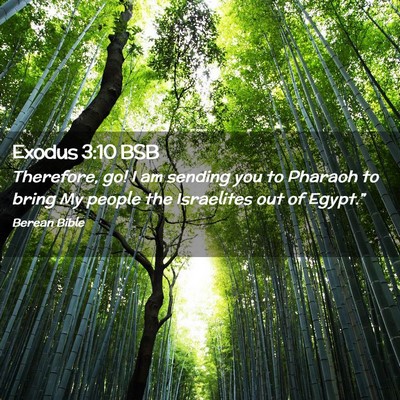 Picture 02 - Exodus 3:10 BSB - Therefore, go! I am sending you to Pharaoh to - Bible Verse Picture