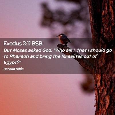 Picture 02 - Exodus 3:11 BSB - But Moses asked God, “Who am I, that I should - Bible Verse Picture