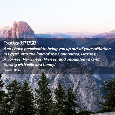 Picture 02 - Exodus 3:17 BSB - And I have promised to bring you up out of your - Bible Verse Picture
