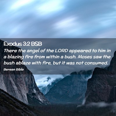 Picture 02 - Exodus 3:2 BSB - There the angel of the LORD appeared to him in a - Bible Verse Picture