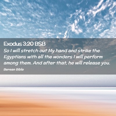 Picture 02 - Exodus 3:20 BSB - So I will stretch out My hand and strike the - Bible Verse Picture