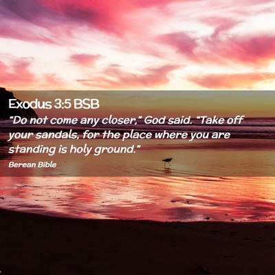 Picture 02 - Exodus 3:5 BSB - “Do not come any closer,” God said. “Take - Bible Verse Picture