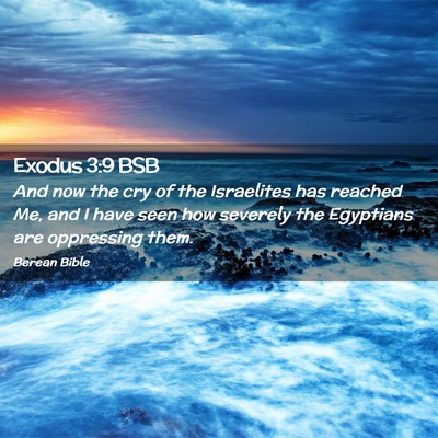 Picture 02 - Exodus 3:9 BSB - And now the cry of the Israelites has reached Me, - Bible Verse Picture