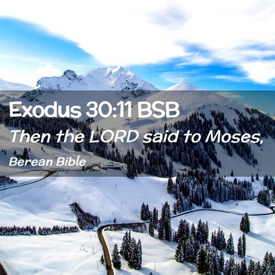 Picture 02 - Exodus 30:11 BSB - Then the LORD said to - Bible Verse Picture