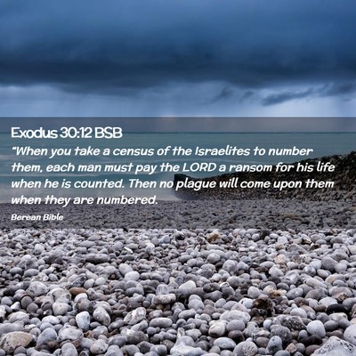 Picture 02 - Exodus 30:12 BSB - “When you take a census of the Israelites to - Bible Verse Picture