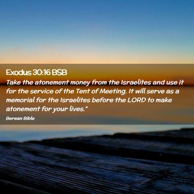 Picture 02 - Exodus 30:16 BSB - Take the atonement money from the Israelites and - Bible Verse Picture