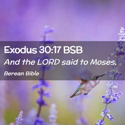 Picture 02 - Exodus 30:17 BSB - And the LORD said to - Bible Verse Picture