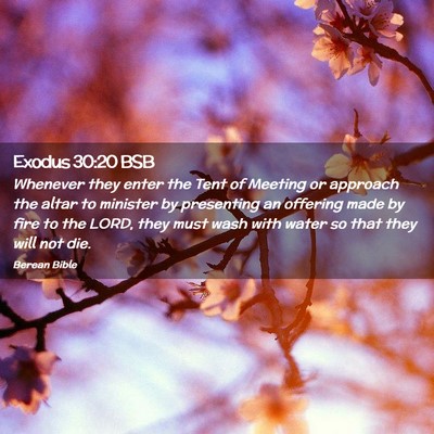 Picture 02 - Exodus 30:20 BSB - Whenever they enter the Tent of Meeting or - Bible Verse Picture