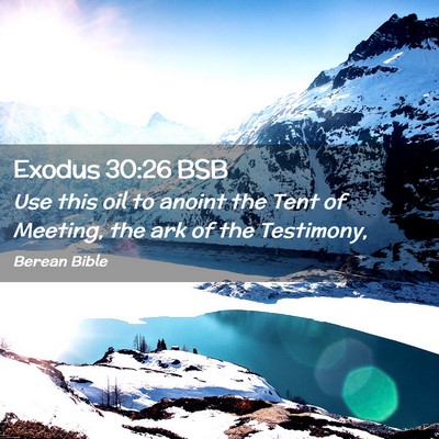 Picture 02 - Exodus 30:26 BSB - Use this oil to anoint the Tent of Meeting, the - Bible Verse Picture