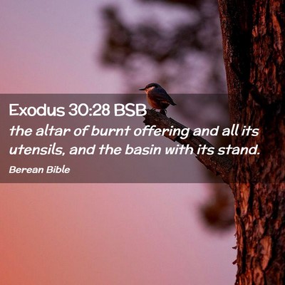 Picture 02 - Exodus 30:28 BSB - the altar of burnt offering and all its utensils, - Bible Verse Picture
