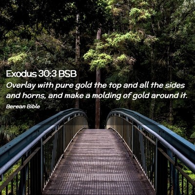 Picture 02 - Exodus 30:3 BSB - Overlay with pure gold the top and all the sides - Bible Verse Picture
