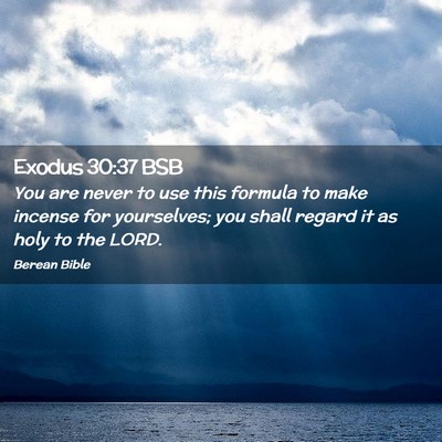 Picture 02 - Exodus 30:37 BSB - You are never to use this formula to make incense - Bible Verse Picture