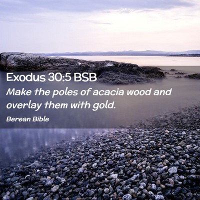 Picture 02 - Exodus 30:5 BSB - Make the poles of acacia wood and overlay them - Bible Verse Picture