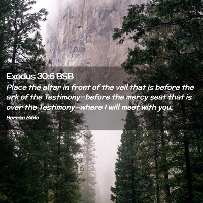 Picture 02 - Exodus 30:6 BSB - Place the altar in front of the veil that is - Bible Verse Picture