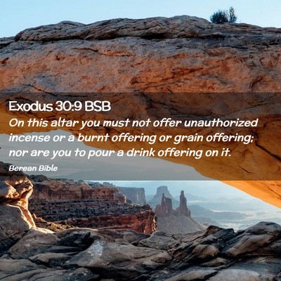 Picture 02 - Exodus 30:9 BSB - On this altar you must not offer unauthorized - Bible Verse Picture