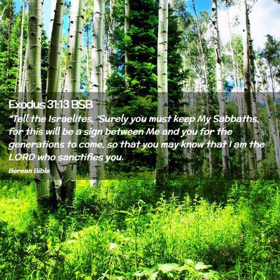 Picture 02 - Exodus 31:13 BSB - “Tell the Israelites, ‘Surely you must keep - Bible Verse Picture